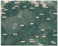  2025Ÿ��601  �Ӿ߰��