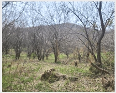  2025Ÿ��609 �泲 ������ �۾��� ��õ�� 286-25      ����(�Ӿ�)���