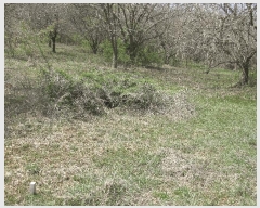  2025Ÿ��609 �泲 ������ �۾��� ��õ�� 286-25      ����(�Ӿ�)���