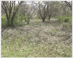  2025Ÿ��609 �泲 ������ �۾��� ��õ�� 286-25      ����(�Ӿ�)���