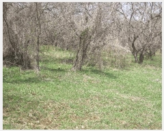  2025Ÿ��609 �泲 ������ �۾��� ��õ�� 286-25      ����(�Ӿ�)���