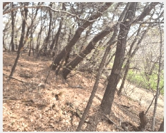  2025Ÿ��609 �泲 ������ �۾��� ��õ�� 286-25      ����(�Ӿ�)���