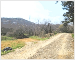  2025Ÿ��609 �泲 ������ �۾��� ��õ�� 286-25      ����(�Ӿ�)���