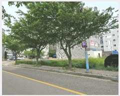  2025Ÿ��627 �泲 ����� ����� ��긮 1640      ����(����)���