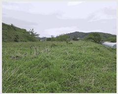  2025Ÿ��636 �泲 ������ ����� ������ 1217-1      ����(�Ӿ�)���