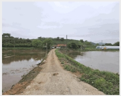  2025Ÿ��636 �泲 ������ ����� ������ 1217-1      ����(�Ӿ�)���