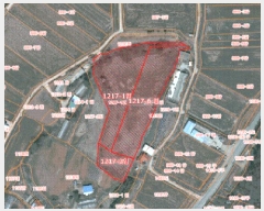  2025Ÿ��636 �泲 ������ ����� ������ 1217-1      ����(�Ӿ�)���