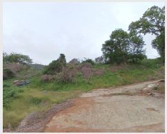  2025Ÿ��636 �泲 ������ ����� ������ 1217-1      ����(�Ӿ�)���