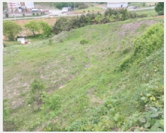  2025Ÿ��636 �泲 ������ ����� ������ 1217-1      ����(�Ӿ�)���