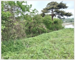  2025Ÿ��636 �泲 ������ ����� ������ 1217-1      ����(�Ӿ�)���