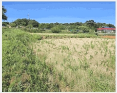  2025Ÿ��657 �泲 ������ ����� �Ż긮 470      ����(��1)���