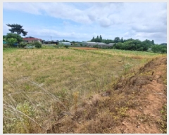  2025Ÿ��657 �泲 ������ ����� �Ż긮 470      ����(��1)���