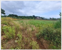  2025Ÿ��657 �泲 ������ ����� �Ż긮 470      ����(��1)���