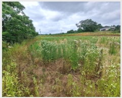  2025Ÿ��657 �泲 ������ ����� �Ż긮 470      ����(��1)���