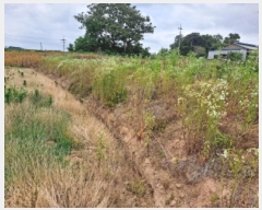  2025Ÿ��657 �泲 ������ ����� �Ż긮 470      ����(��1)���