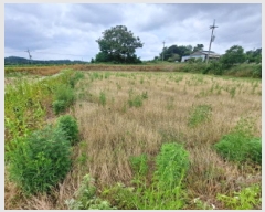  2025Ÿ��657 �泲 ������ ����� �Ż긮 470      ����(��1)���