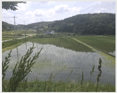  2025Ÿ��669 �泲 ����� ������ ������ ��96-3      ����(�Ӿ�)���