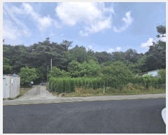  2025Ÿ��669 �泲 ����� ������ ������ ��96-3      ����(�Ӿ�)���