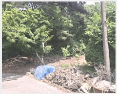  2025Ÿ��669 �泲 ����� ������ ������ ��96-3      ����(�Ӿ�)���