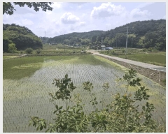  2025Ÿ��669 �泲 ����� ������ ������ ��96-3      ����(�Ӿ�)���