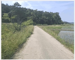  2025Ÿ��669 �泲 ����� ������ ������ ��96-3      ����(�Ӿ�)���