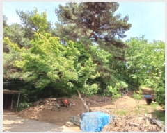  2025Ÿ��669 �泲 ����� ������ ������ ��96-3      ����(�Ӿ�)���