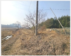  2025Ÿ��50037 �泲 ����� ����� ��긮 323      ����(��1)���