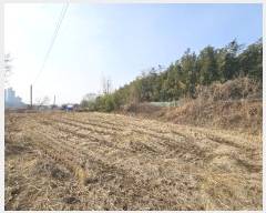  2025Ÿ��50037 �泲 ����� ����� ��긮 323      ����(��1)���