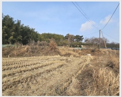  2025Ÿ��50037 �泲 ����� ����� ��긮 323      ����(��1)���