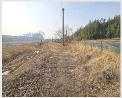  2025Ÿ��50037 �泲 ����� ����� ��긮 323      ����(��1)���