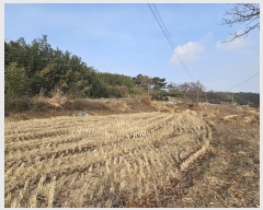  2025Ÿ��50037 �泲 ����� ����� ��긮 323      ����(��1)���