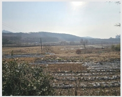  2025Ÿ��50037 �泲 ����� ����� ��긮 323      ����(��1)���