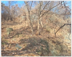  2025Ÿ50655 泲   θ 844-70      (Ӿ)