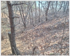  2025Ÿ50655 泲   θ 844-70      (Ӿ)