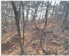  2025Ÿ50655 泲   θ 844-70      (Ӿ)