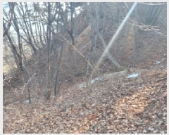  2025Ÿ50655 泲   θ 844-70      (Ӿ)