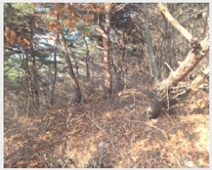  2025Ÿ50655 泲   θ 844-70      (Ӿ)