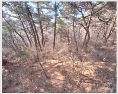  2025Ÿ50655 泲   θ 844-70      (Ӿ)