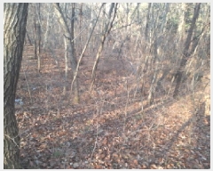  2025Ÿ50655 泲   θ 844-70      (Ӿ)