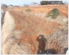  2025Ÿ��50662  �����