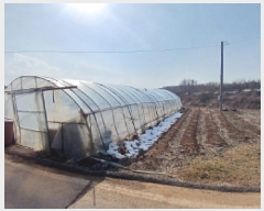  2025Ÿ��50662  �����