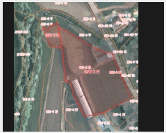  2025Ÿ��50662  �����