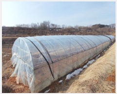  2025Ÿ��50662  �����