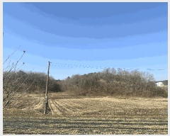  2025Ÿ��50983 �泲 ������ ��ȣ���� ������ 505-8      ����(�Ӿ�)���