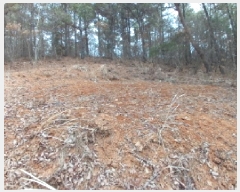  2025Ÿ��50983 �泲 ������ ��ȣ���� ������ 505-8      ����(�Ӿ�)���