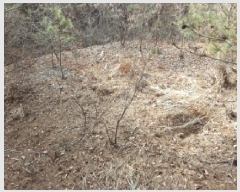  2025Ÿ��50983 �泲 ������ ��ȣ���� ������ 505-8      ����(�Ӿ�)���