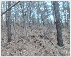  2025Ÿ��50983 �泲 ������ ��ȣ���� ������ 505-8      ����(�Ӿ�)���