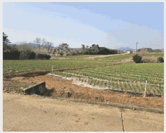  2025Ÿ��51094 �泲 ����� �μ��� ������ 889-37      ����(�Ӿ�)���