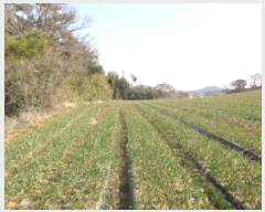  2025Ÿ��51094 �泲 ����� �μ��� ������ 889-37      ����(�Ӿ�)���