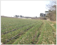  2025Ÿ��51094 �泲 ����� �μ��� ������ 889-37      ����(�Ӿ�)���